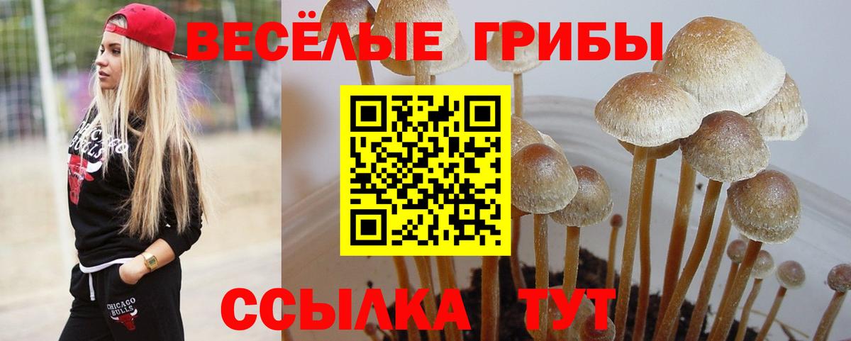 Армавир  Галлюциногенные грибы мицелий  Вход с VPN 